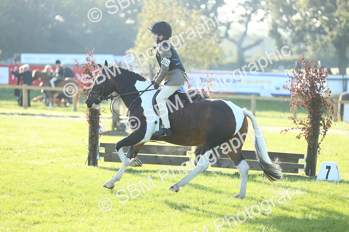 SBM_32245 - S28 - Nursery Stakes Working Hunter Pony