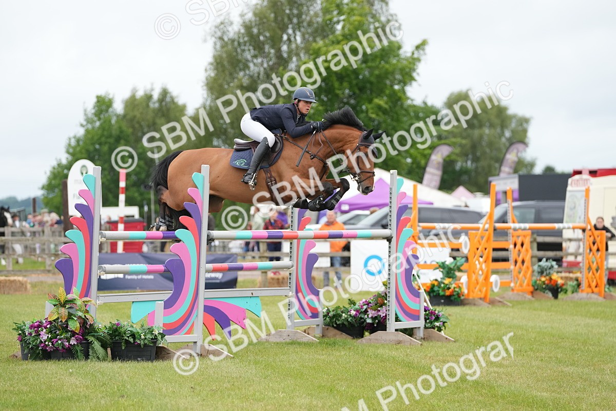 SBM_03247 - Class 201 - British Horse Feeds Speedi Beet Horse of the Year Show Grade  C