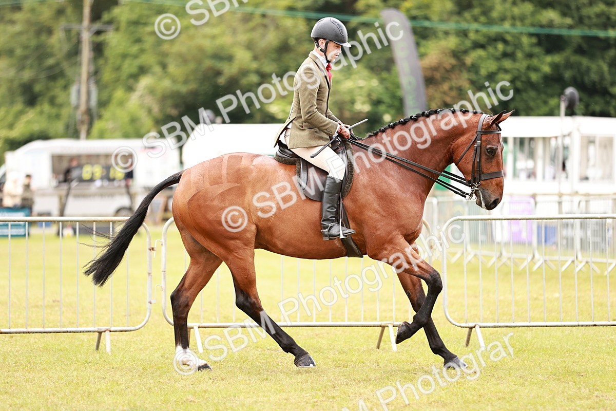SBM_11549 - Class 81-84 - RIHS Ridden hunters Inc Ladies Hunter