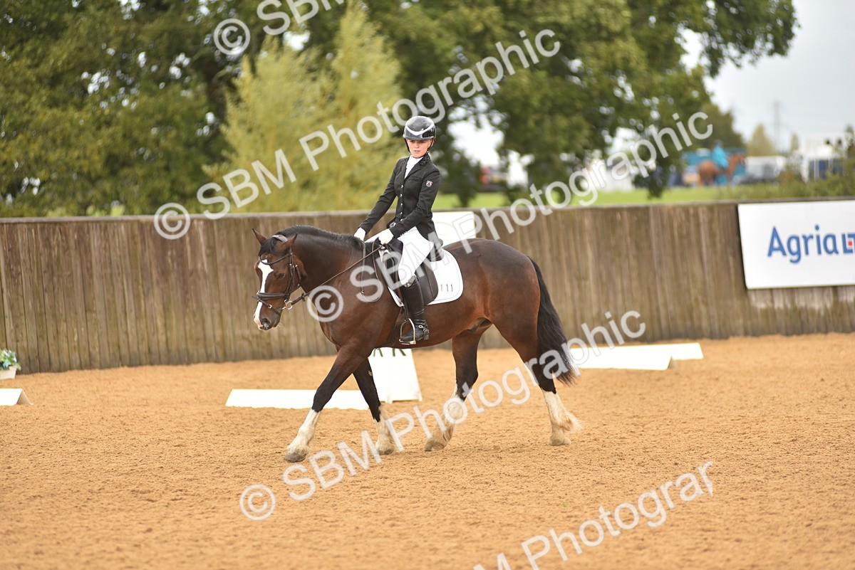SBM_02146 - D7 - Small Tour Championship Prelim 2