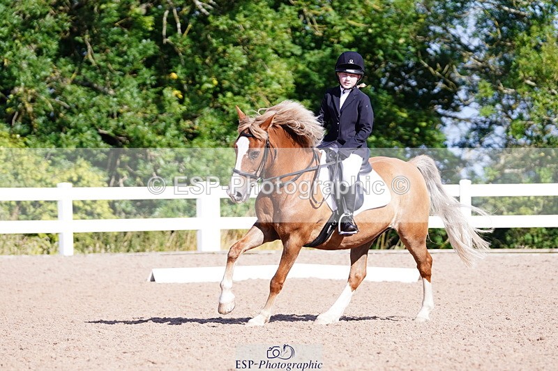 240809A-091344-00183 - Dressage Competition