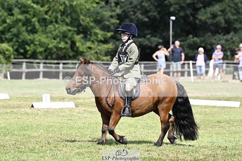 250822A-115518-22438 - DR 11.00 to 12.00