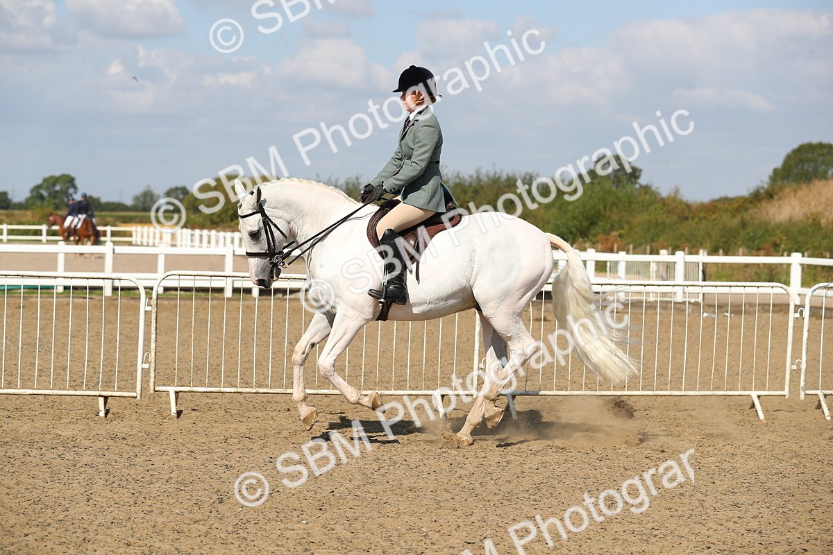 SBM_03161 - Class 44 Riding Club Horse/ Pony