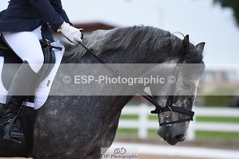 230708A-103858-01421 - Prelim 7