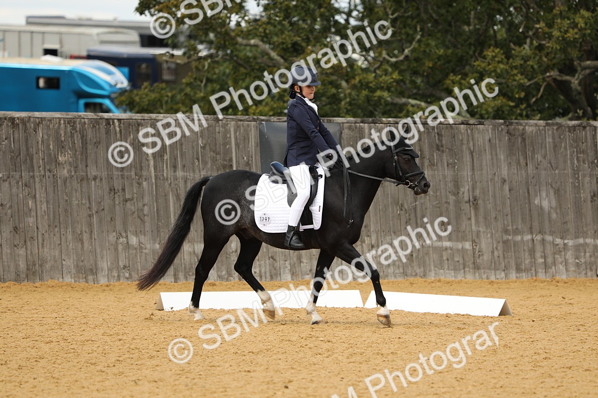 SBM_41875 - D21 - Junior Championship - Intro A