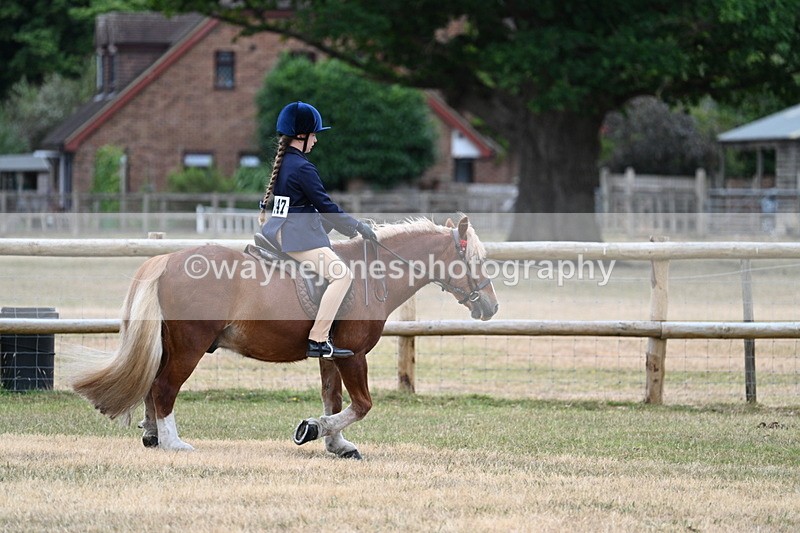 WJ7_0419 - Class 2 Best rider