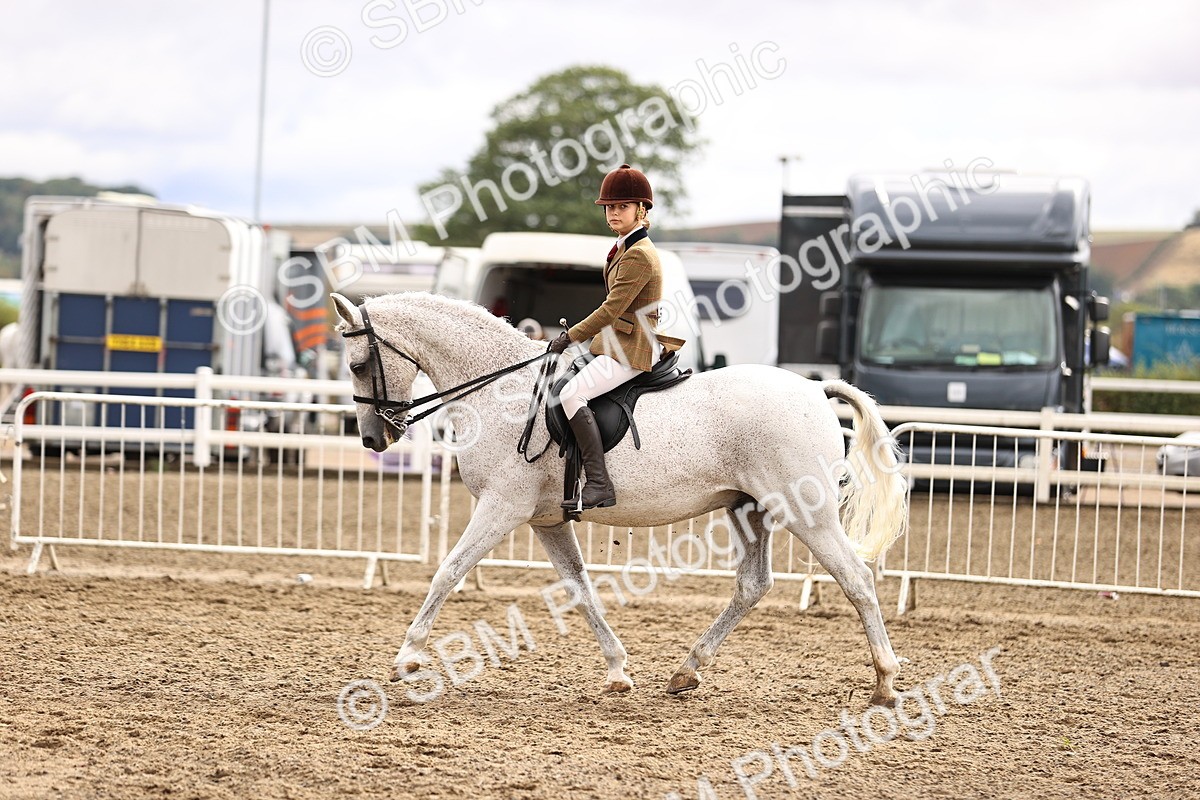 SBM_00583 - Class 53 - Ridden Competition Horse Pony