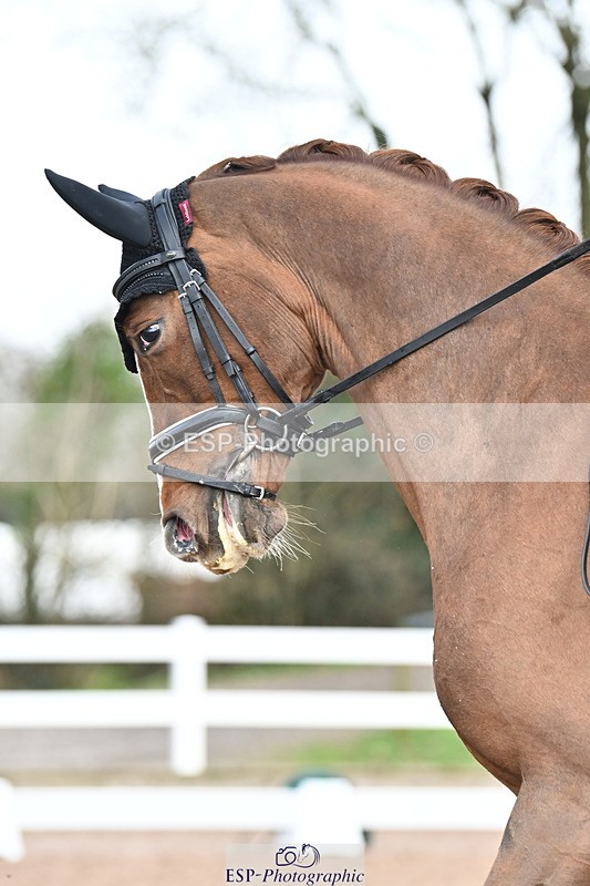 240218A-123158-07002 - 276-Jezz.Palmer-Hawtins.Fiorucci