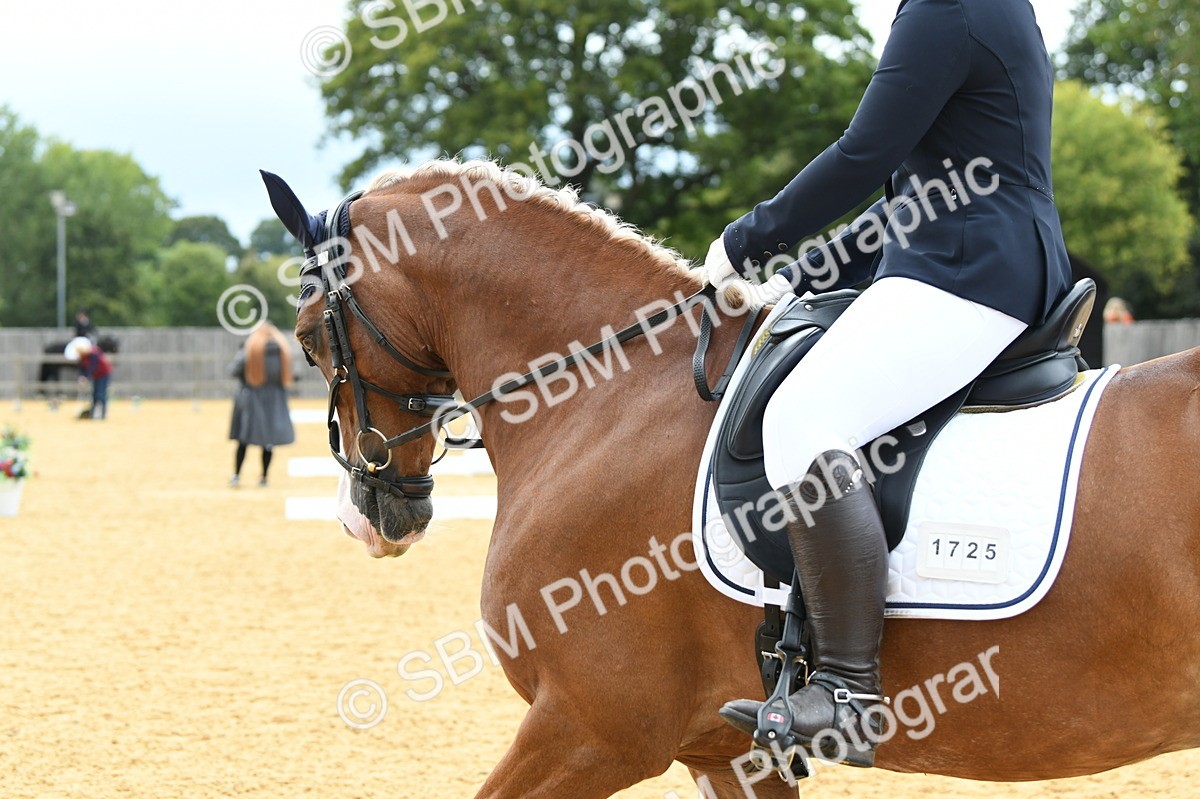 SBM_09923 - D15 Small Tour Championship Novice 24