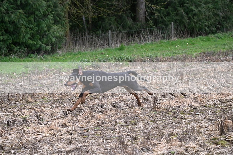 WJ6_9537 - Line Four