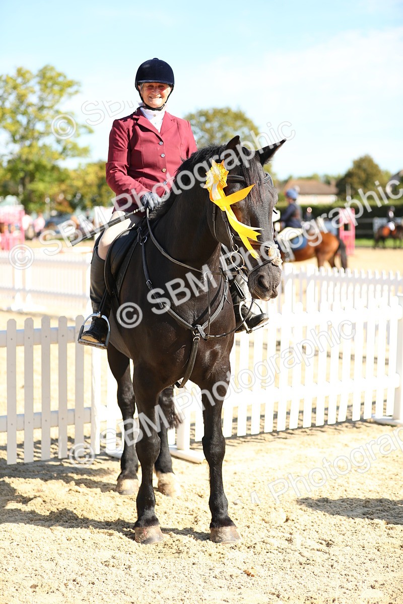 SBM_17820 - J33 - Senior 75cm Championship