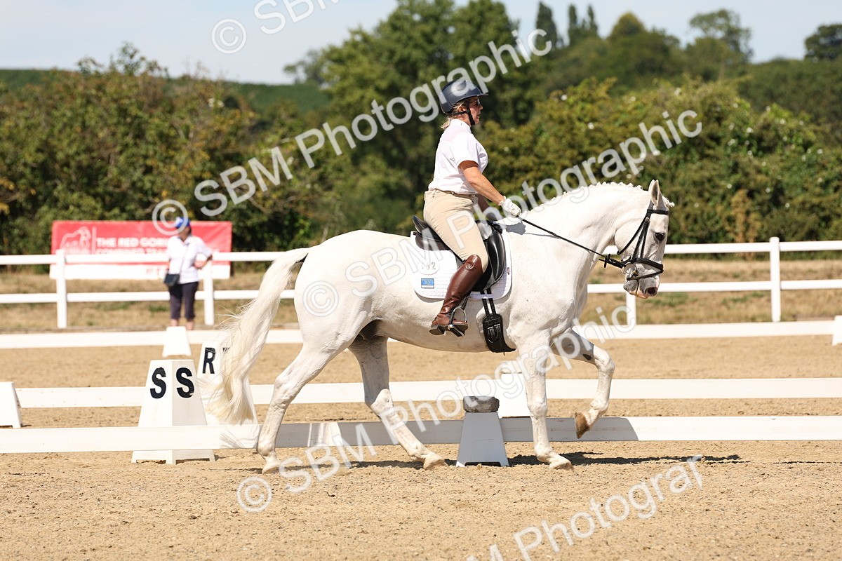 SBM_002986 - Elementary 4