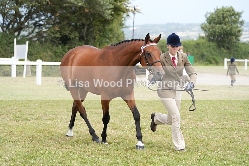 DSC06381 - Class 55: Hunter/Riding Horse/Hack 3 & 4 yr olds