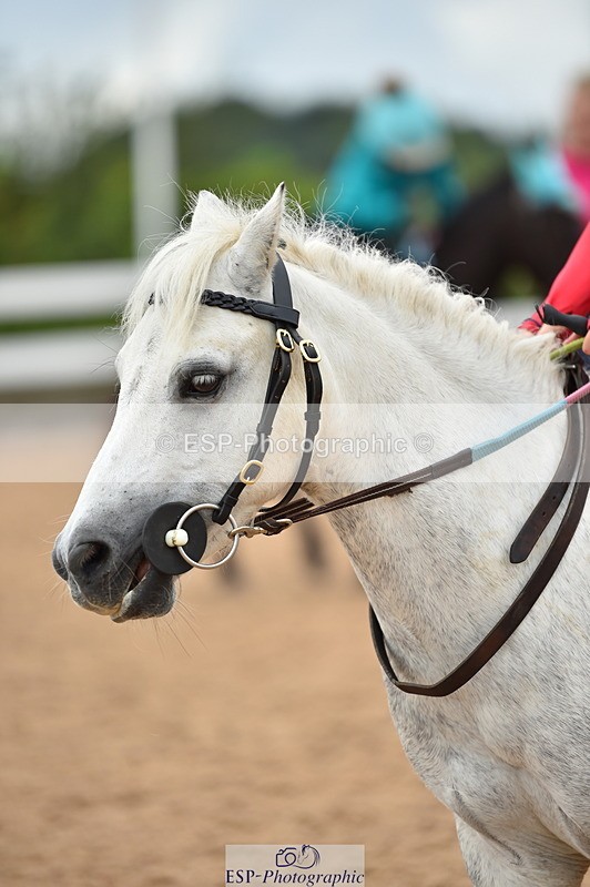 230803A-153120-01224 - Thomasina's Group Ride