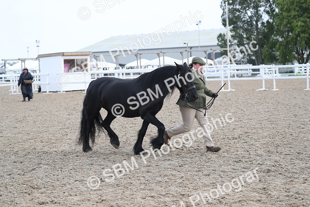 SBM_23311 - Class 606 - 2025 Area - IH Pre Vet