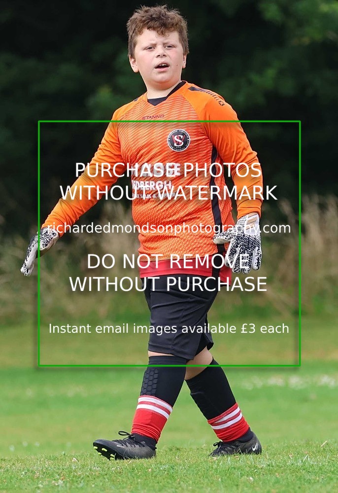 533A3050 - Sedbergh Wanderers (morning Ibis)
