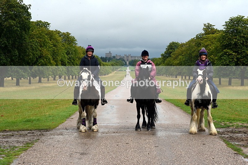 TT3_8609 - Time at Crossing 11:44 to 12:54