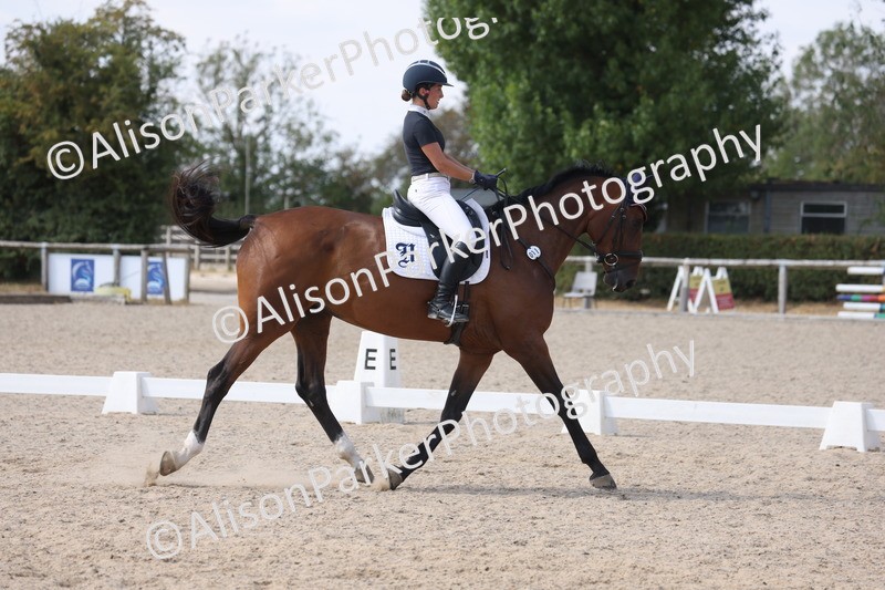 20260815-1111 - Class 6 - Novice 2