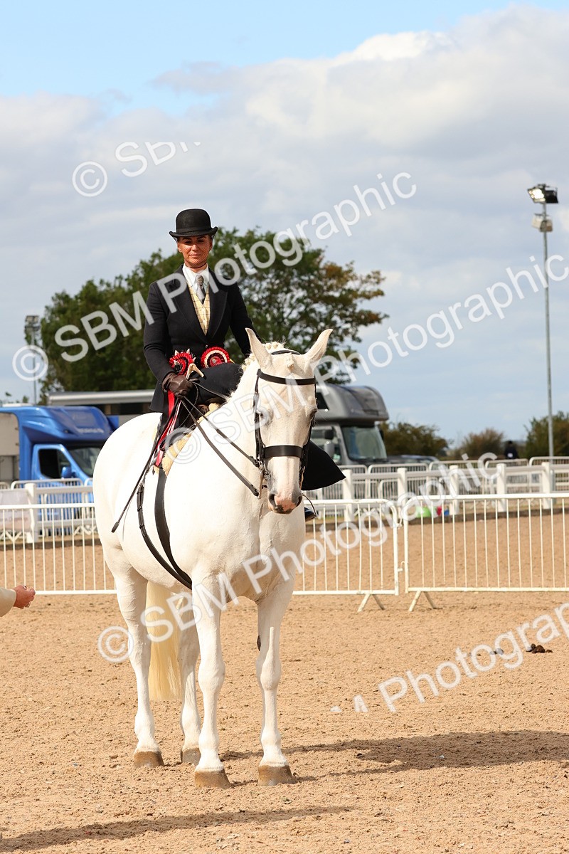 SBM_15916 - Class 216 - Best Side Saddle Horse-Pony