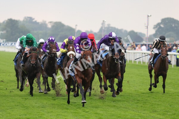 yr09102021r1-35 - Race 1 1.30pm Watch Racing Free Online At Coral Nursery Handicap