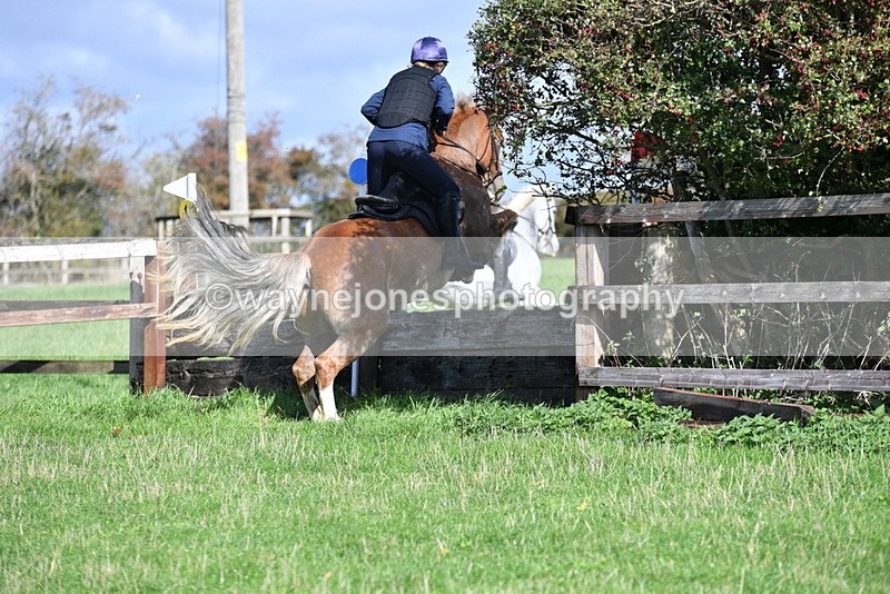 WJ5_8204 - Time 10:31 to 12:01