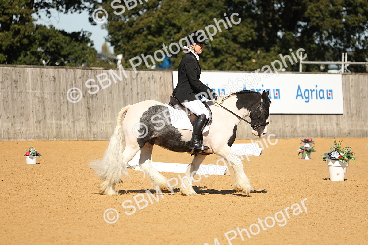 SBM_18873 - D10 - Small Tour Championship - Prelim 2