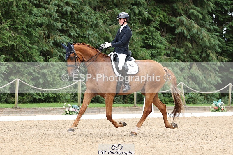 240810-155507-04119 - 208-Tom.Carter-Rubin.Regal