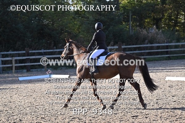 BPP_9348 - LONG ARENA
