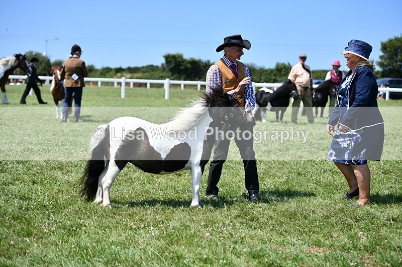 DSC_7659 - Class 64: Coloured Pony 4yrs & over