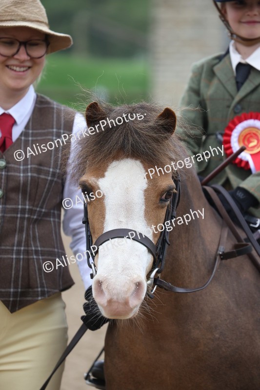 20260504-0127 - Class 9 - Lead Rein Pony