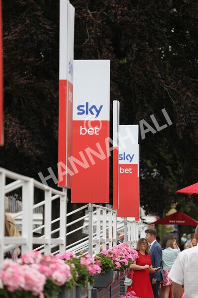 yr23072022r5-1 - Race 5 4.25pm Sky Bet UK's No1 Betting App Stakes