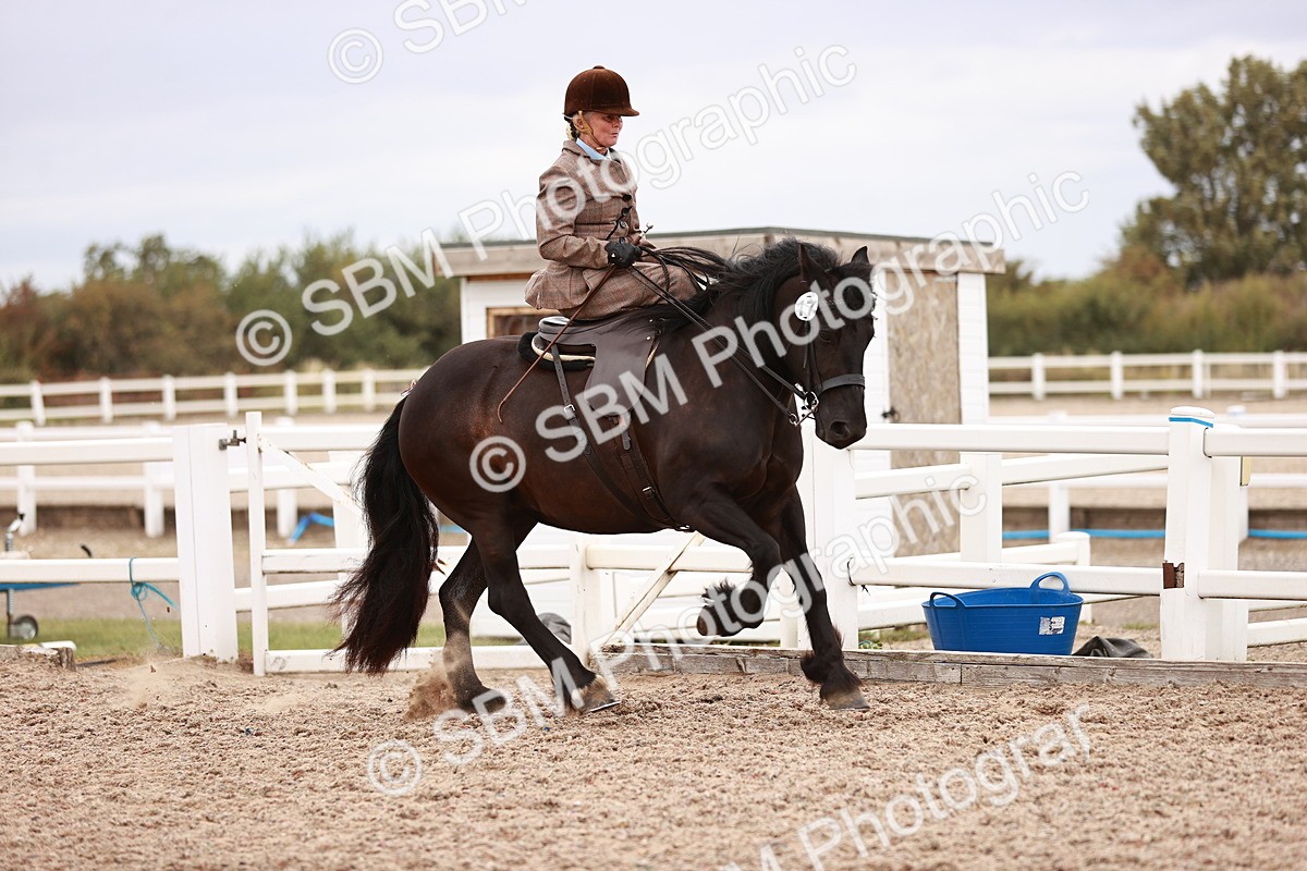 SBM_18961 - Class 422 - Ridden M&M