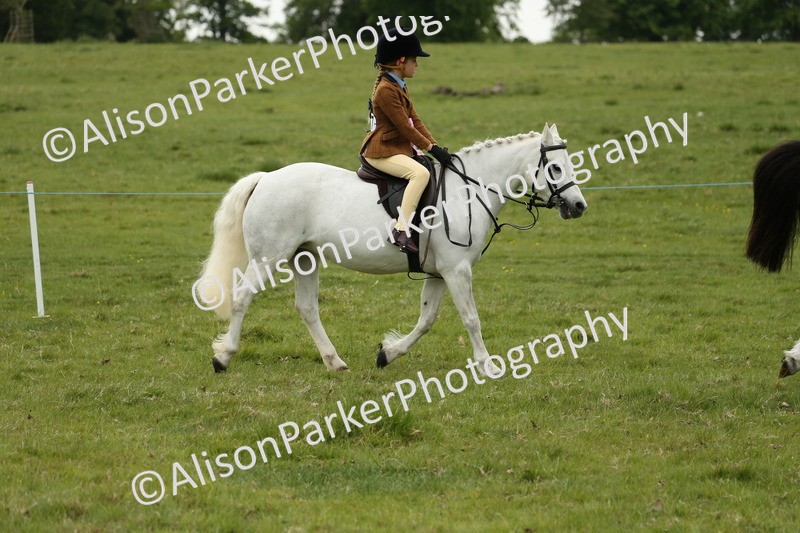 20250517-1242 - Class 21 - Novice Working Hunter