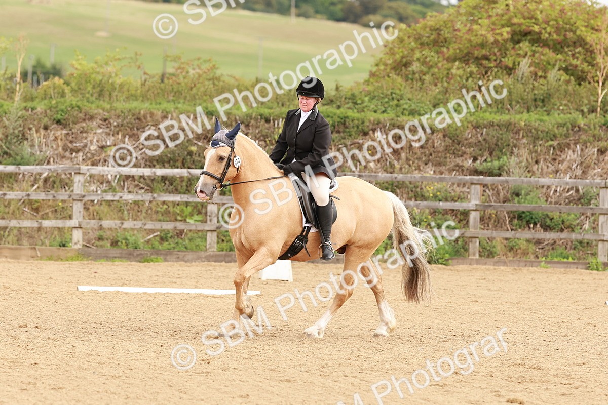 SBM_001485 - Prelim 2