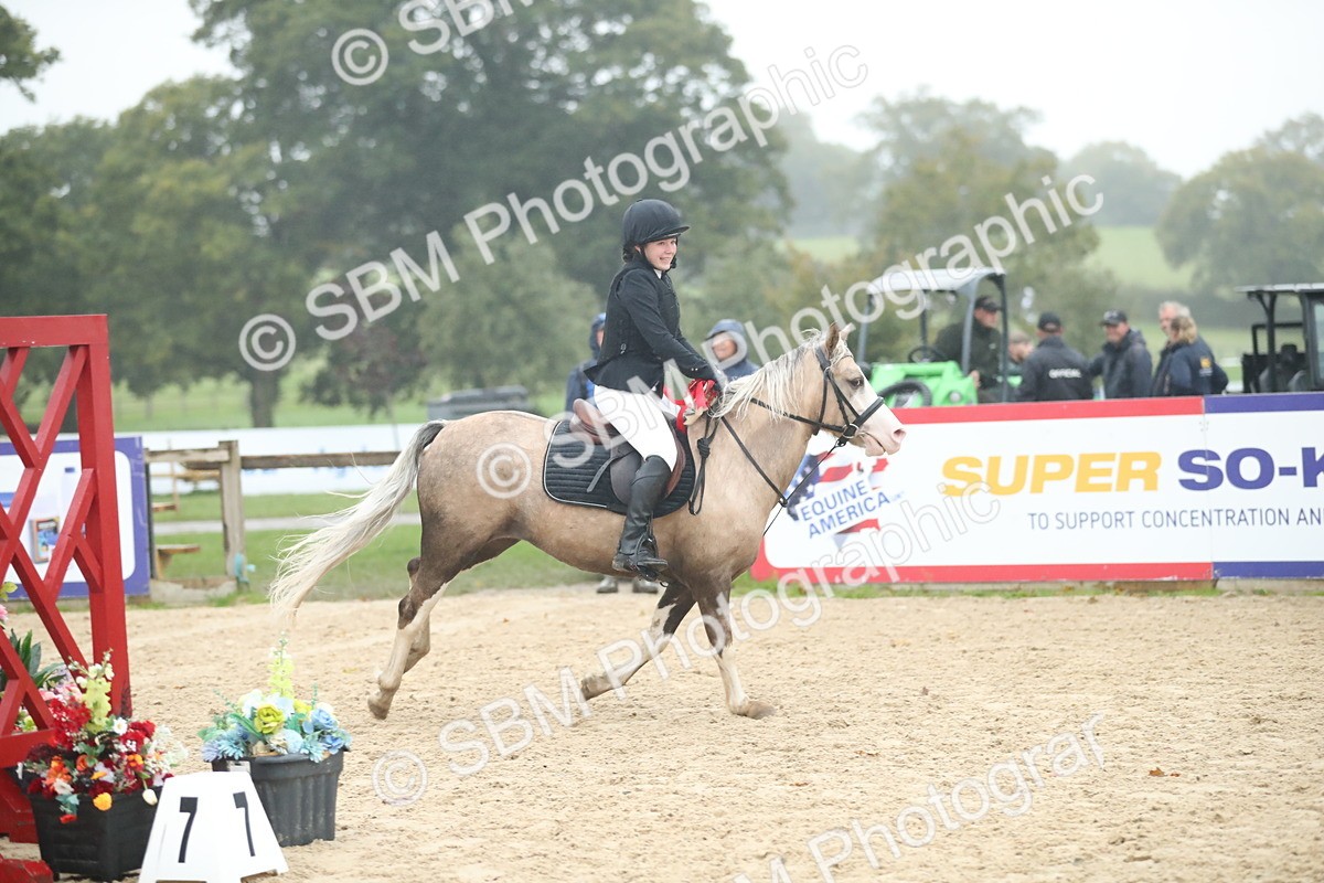 SBM_74367 - Supreme championship Junior Pony 70cm 75cm