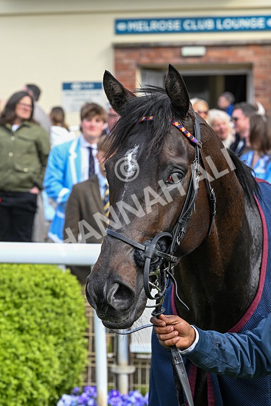 150526-Race 7-Portcullis-8922 - Race 7 5.15pm Darley EBF 'Confined' Novice Stakes