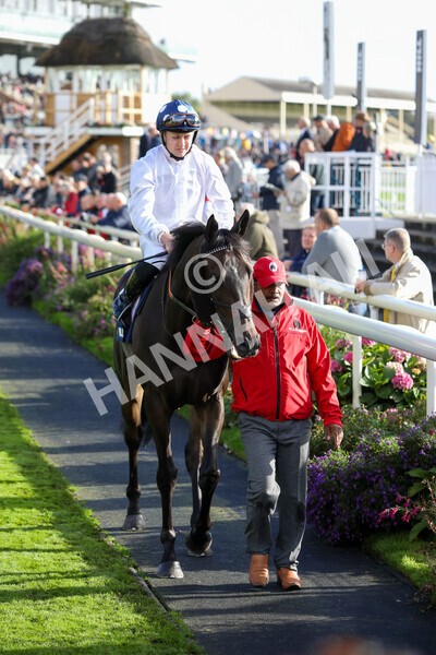 yr07102022r4-15 - Race 4 3.50pm William Hill Best Odds Guaranteed Stakes