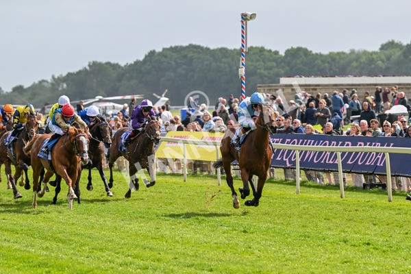 150525-Pride Of Arras-4673 - Race 4 3.45pm Al Basti Equiworld Dubai Dante Stakes