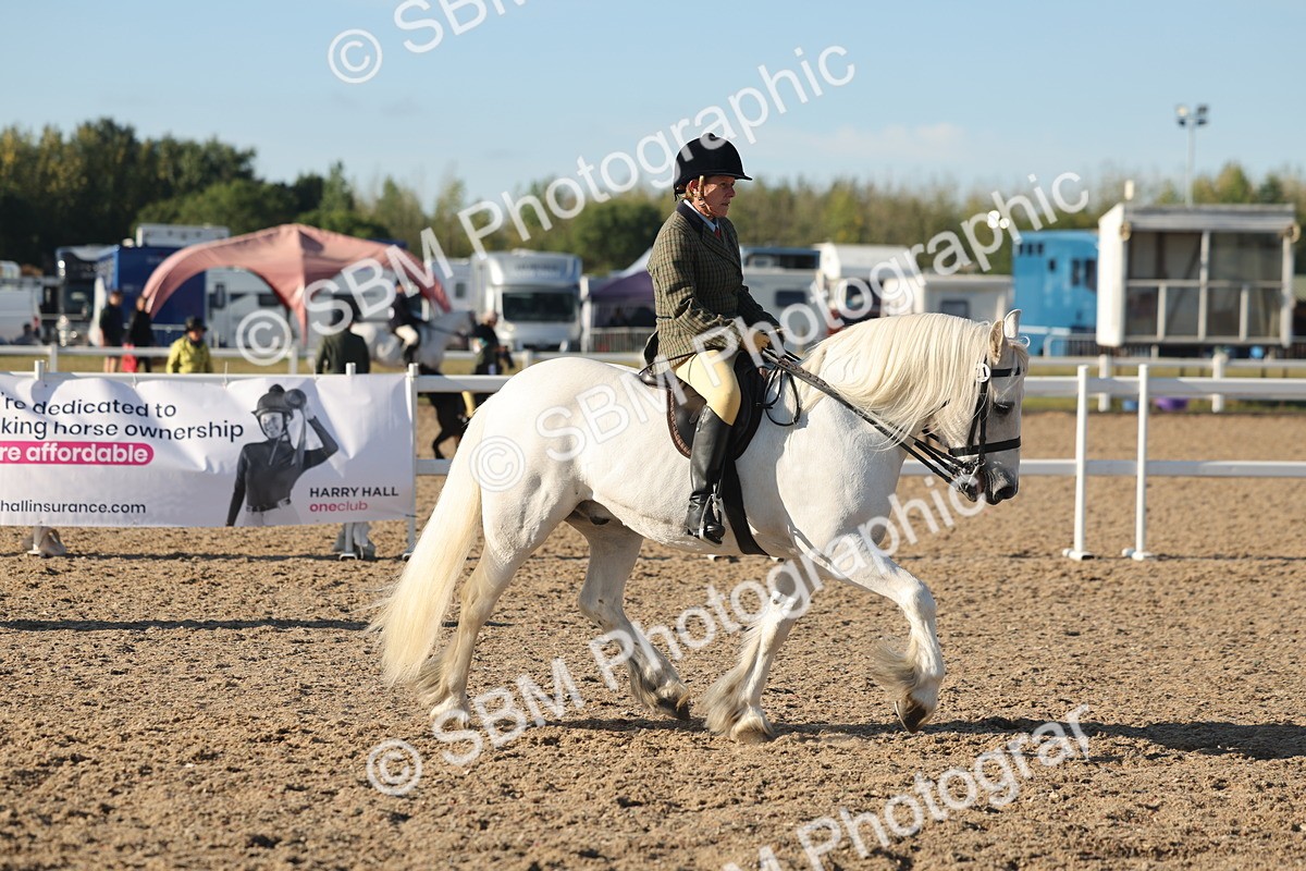 SBM_11015 - Class 302 - Ridden M&M Large Breeds