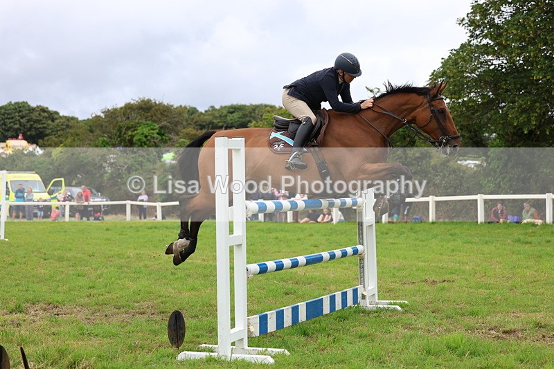 3E7A8616 - Class 8: Senior Foxhunter/1.20m open