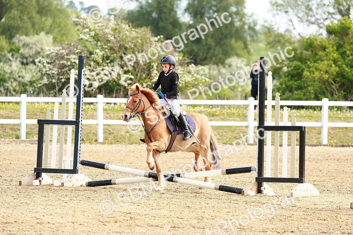 SBM_006619 - Class 1 - 40cm