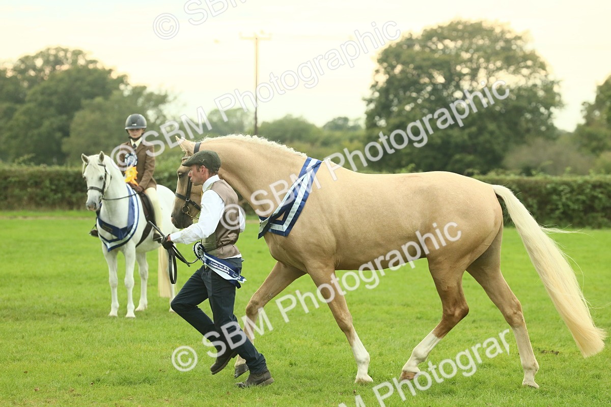SBM_75188 - Super Supreme Championship