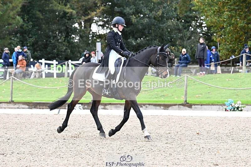 251023A-140240-05441 - B-148-Tarka.Abraham