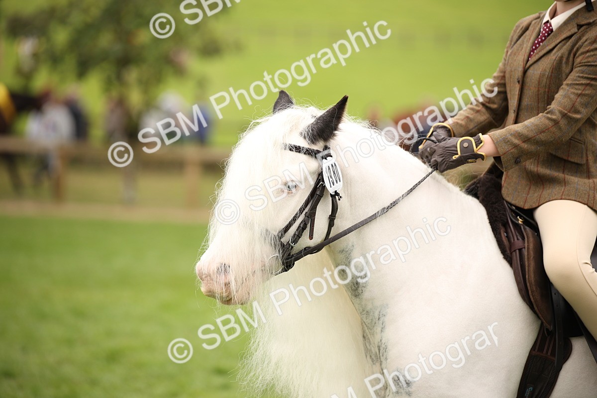 SBM_73482 - S68 - Traditional Cob Ridden