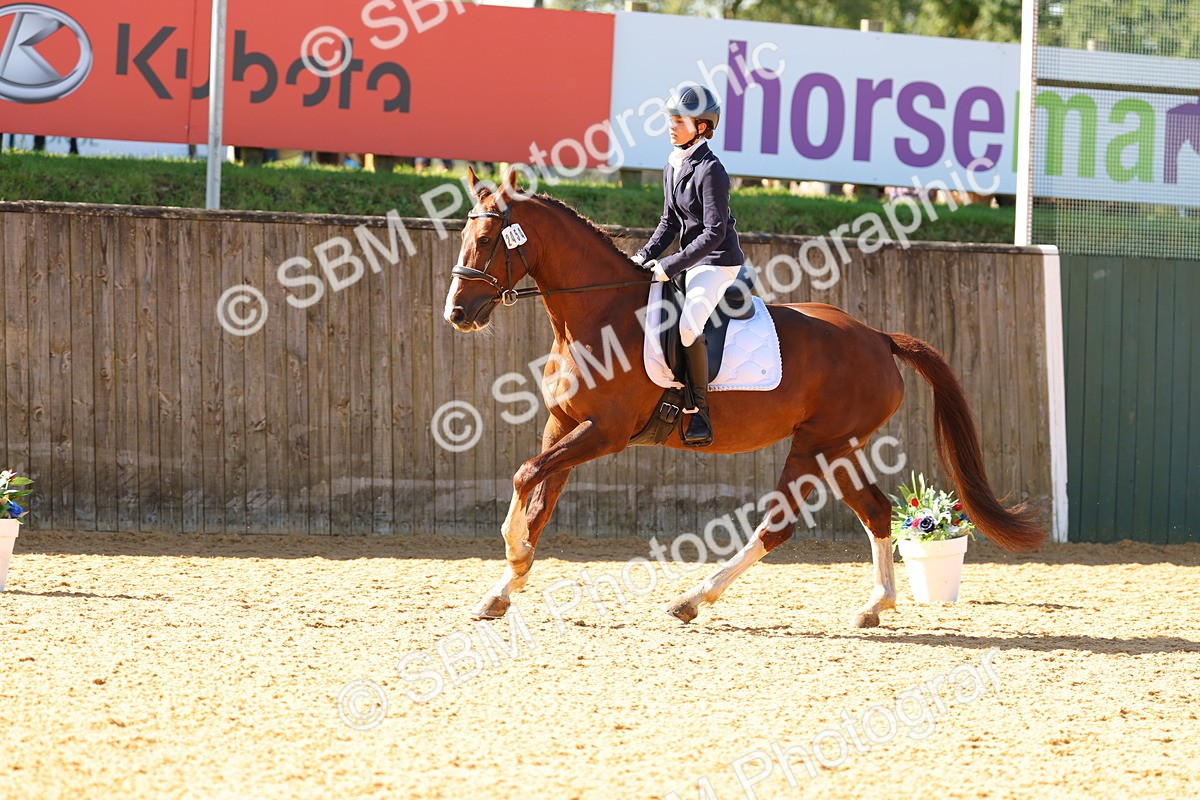 SBM_40053 - D18 - Grand Tour Championship - Novice 34
