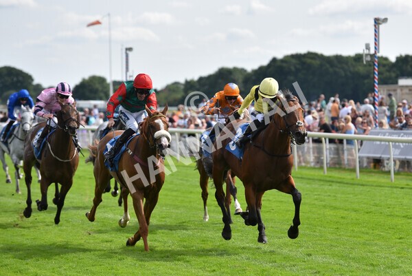 yr08072022r5-18 - Race 5 4.25pm Azets Stakes