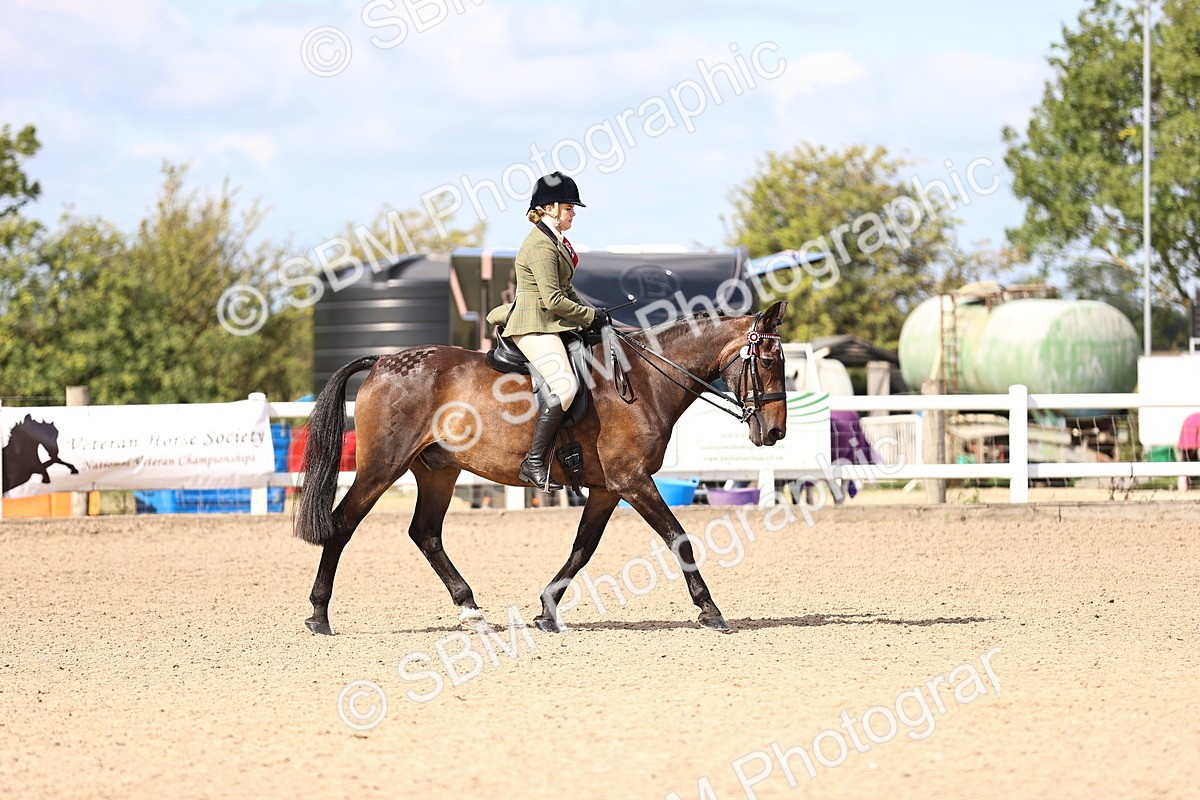 SBM_12916 - Class 410 - Grassroots Ridden - Horse