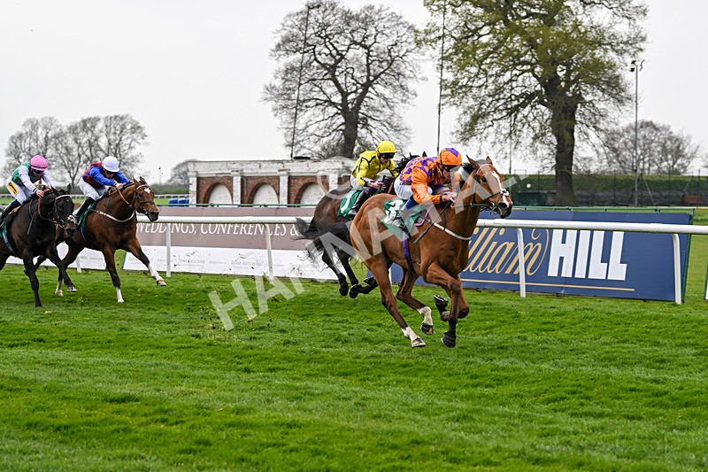 120425-Race 3-Paborus-1054 - Race 3