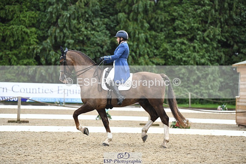 240720-155912-06325 - 142-Amberley_Pugsley-Hero_A