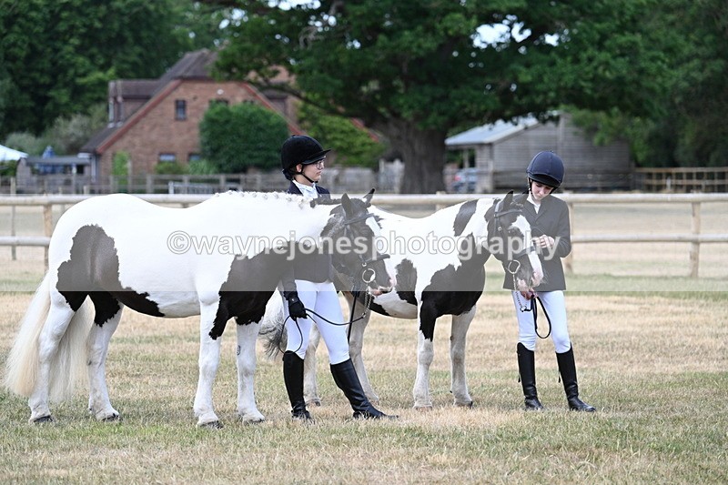 WJ7_1547 - Class 4 Prettiest Mare up to 14.2hh in hand